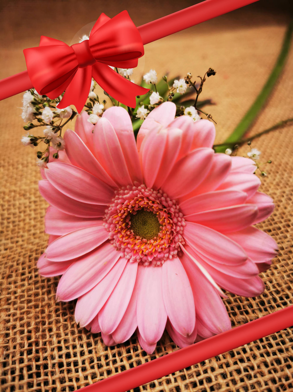 Fern Cottage Gift Voucher
